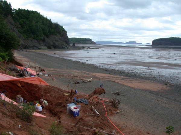 Bay of Fundy Dinosaur Site Citizen Science