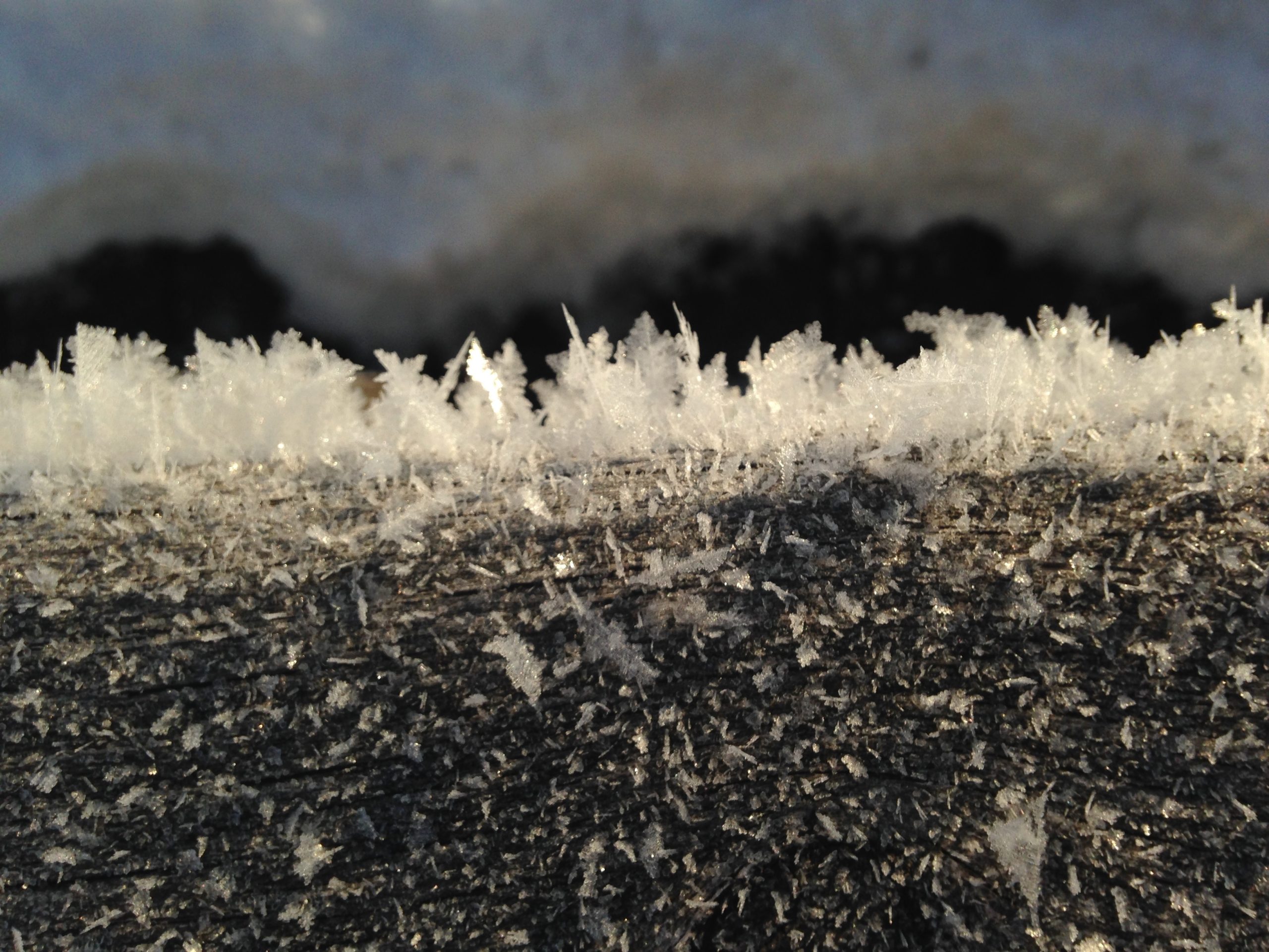 Frozen Tides and Geology